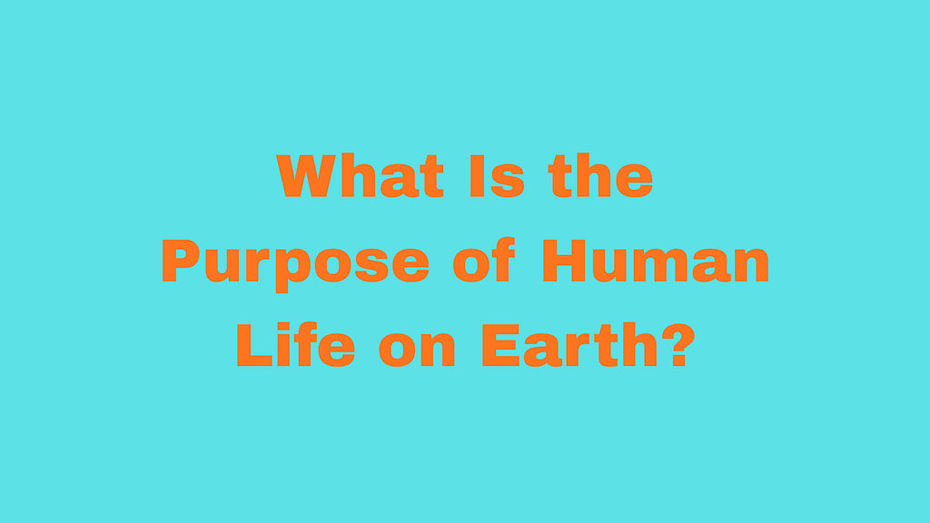 What Is the Purpose of Human Life on Earth?