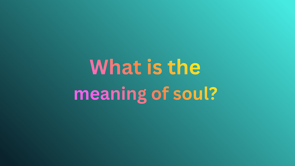 What is the meaning of soul?